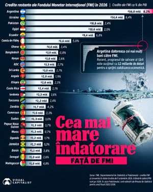 Argentina and Ukraine - Countries with the Largest Debts to the IMF